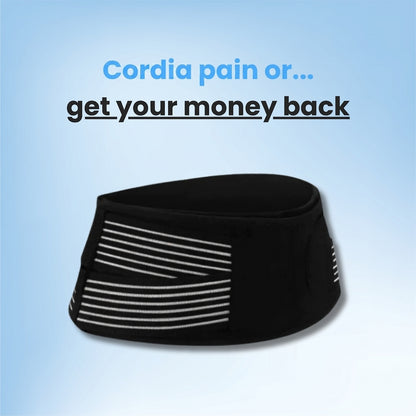 belt-gallery-01.png