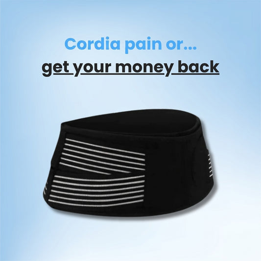 belt-gallery-01.png