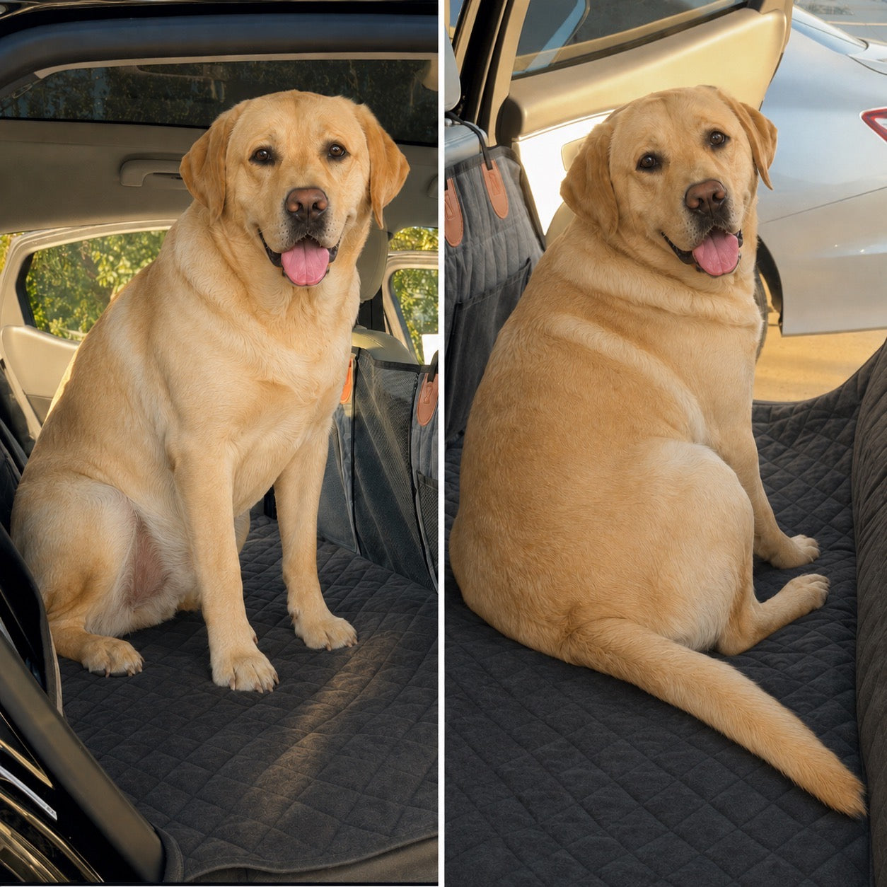 A Labrador sitting comfortably on the platform in the back of a car, doors open, on an ordinary day out.