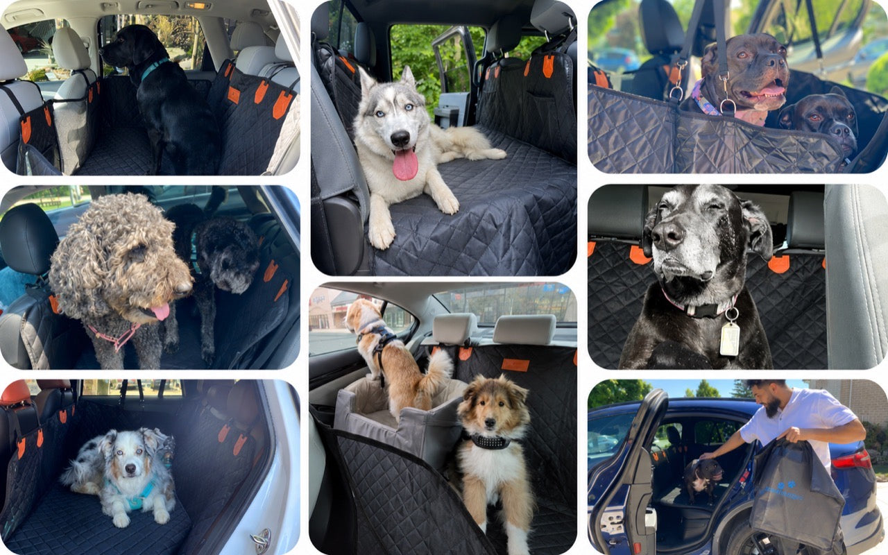 Eight customer photos: a black Lab, a husky, two bull breeds, a poodle pair, an Australian shepherd, a collie puppy, and a senior dog, all settled on the platform in different vehicles.
